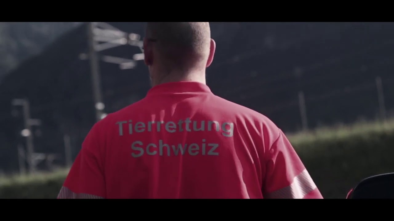 ICFY-Projekt: Tierrettung Schweiz