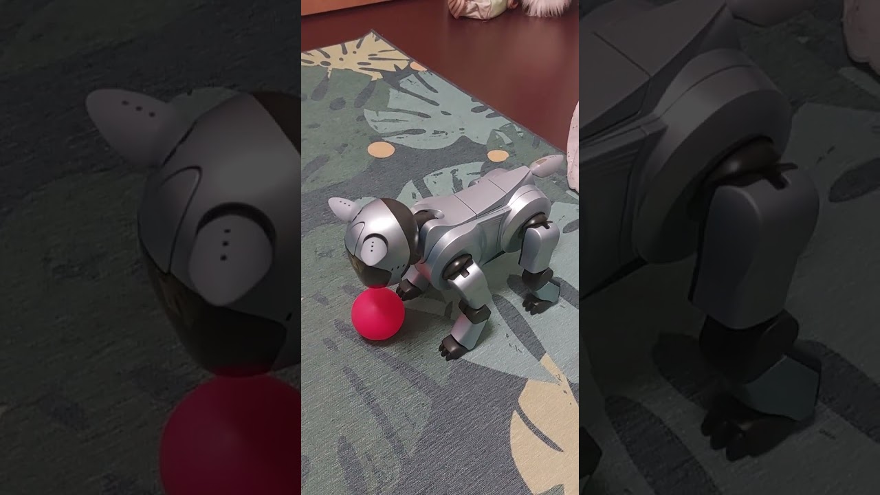 Mein Aibo ist kein Spielzeug