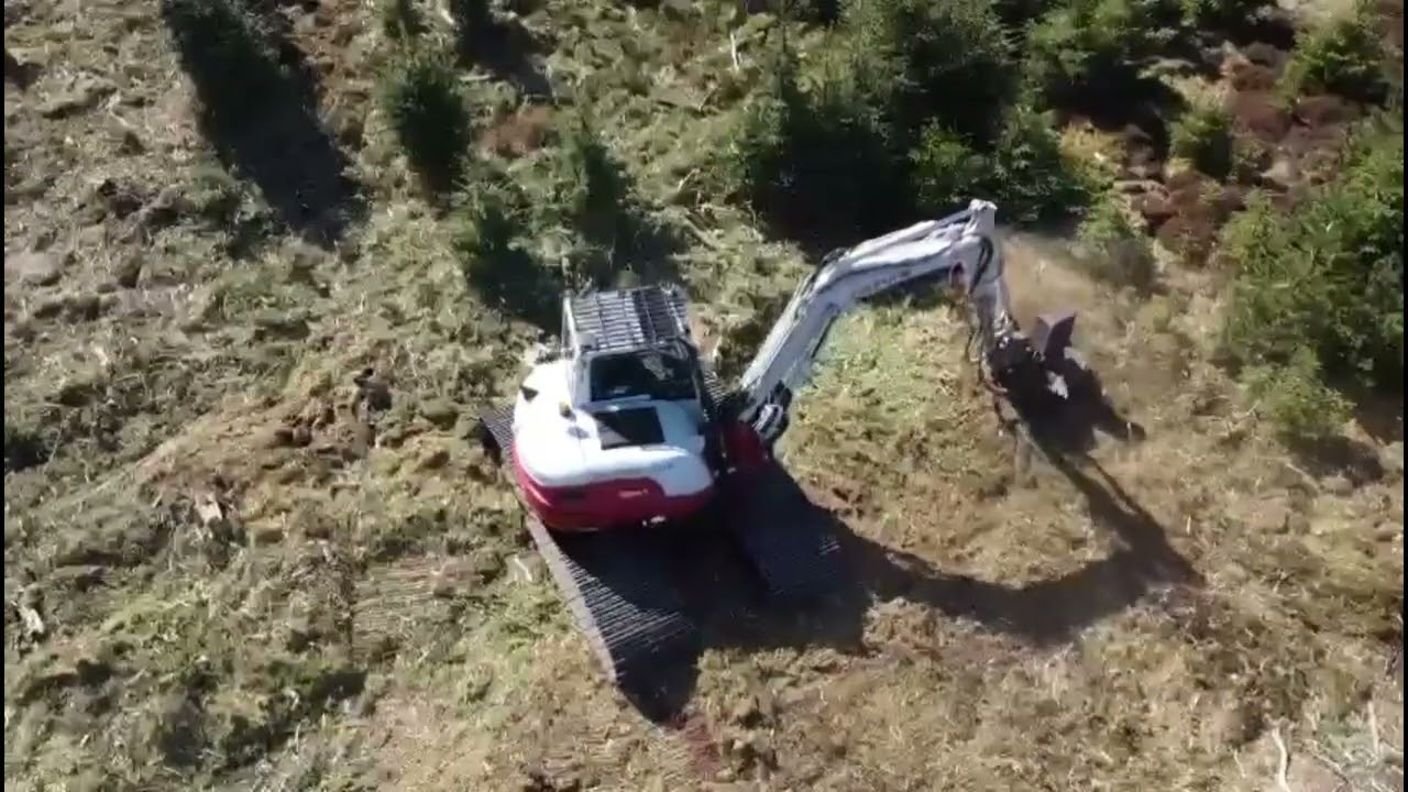 Mulching Regenerated Trees on a Clearfell Site in Yorkshire | Treeclear UK