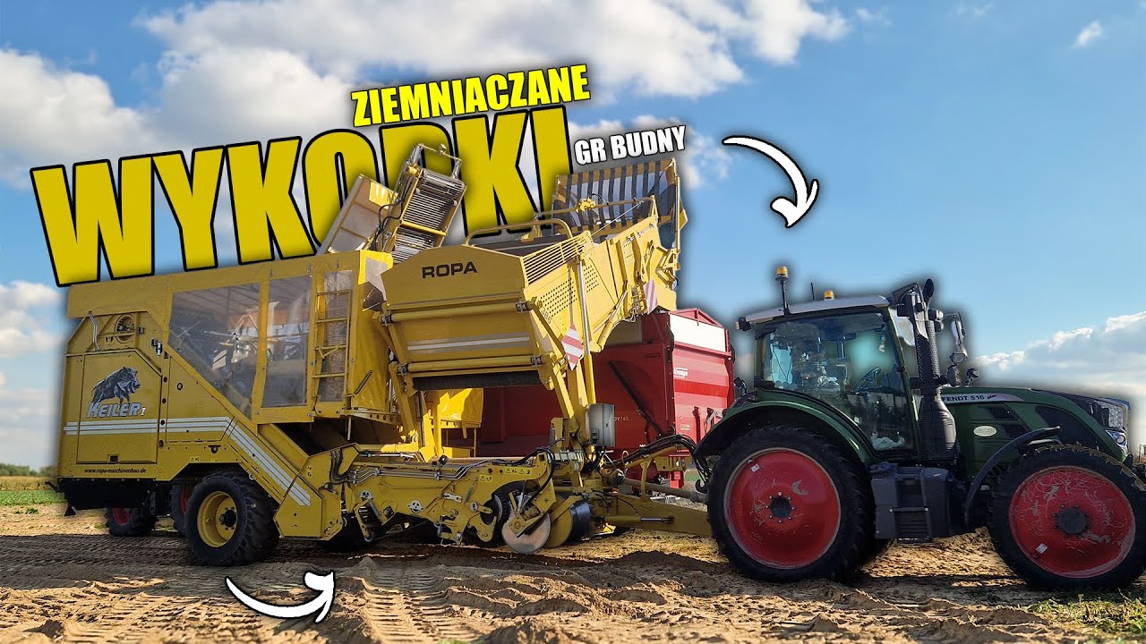 Ropa Keiler 1 + 🚜 Fendt Vario 516 🚜 Wykopki 🥔 Ziemniaków 🥔 w 