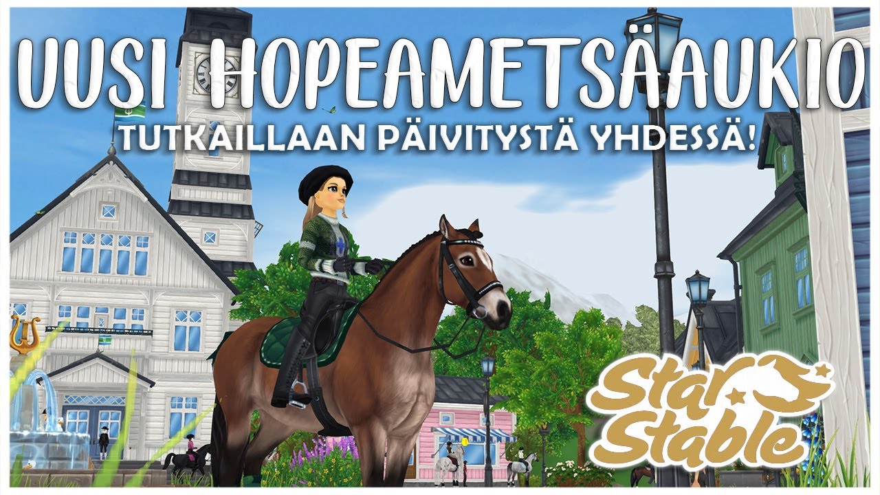 Hopeametsäaukion kylän päivitys | SSO Suomi