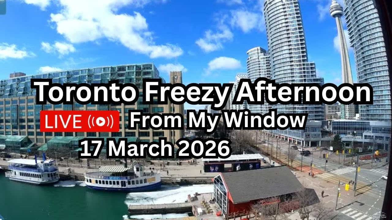 🔴Toronto Window Cam LIVE HD | MaoChow Adventure 17th March 2026 Frozen Noon to eve vibes