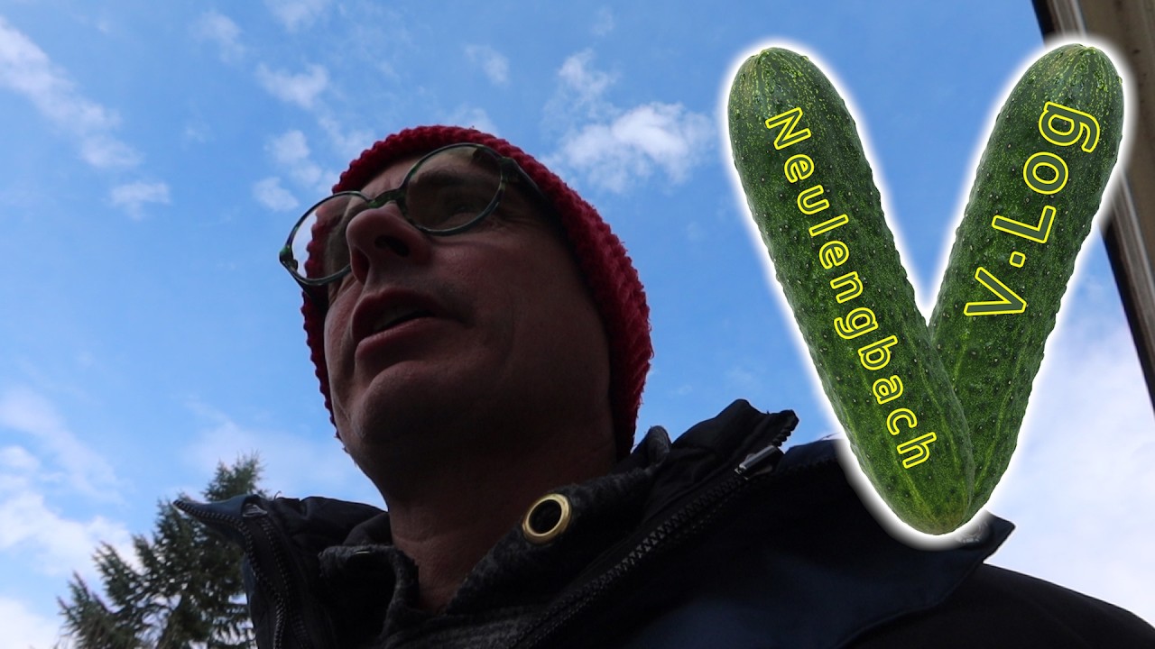 von positiveren und negativeren Erfahrungen #NVLOG CV-02177 2026-02-25