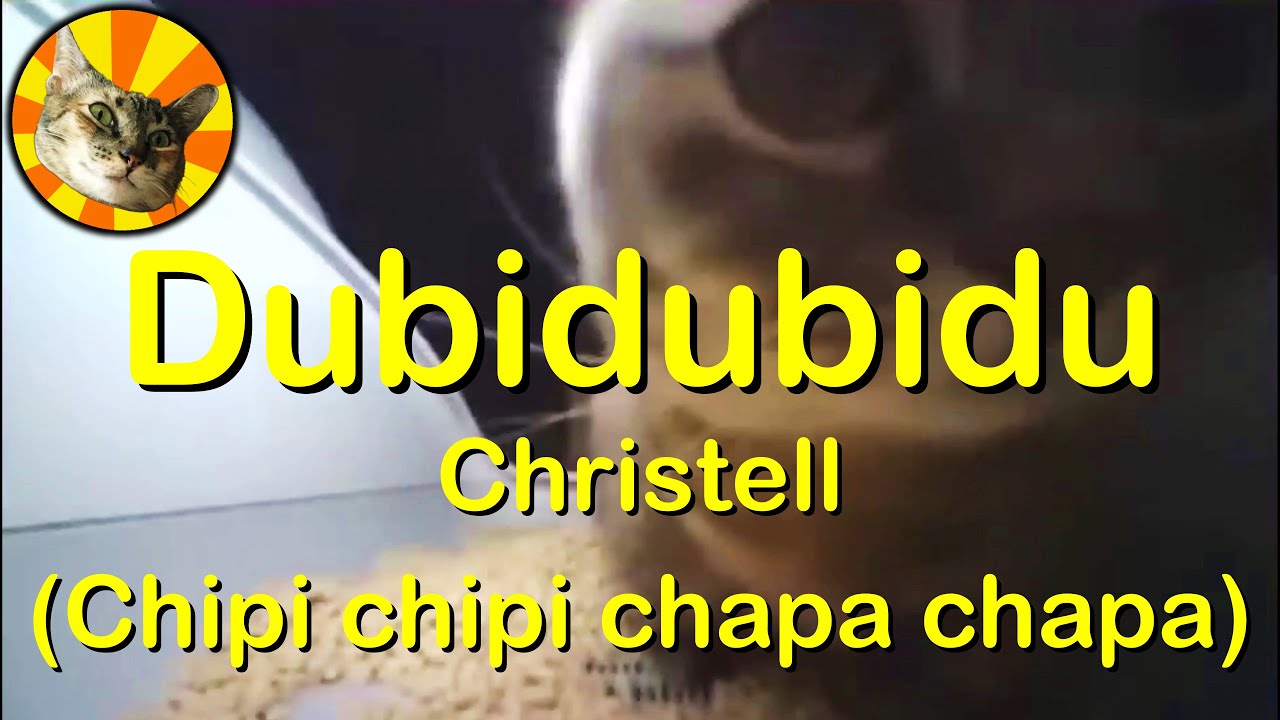 Christell - Dubidubidu lyrics | Spanish + English | CHIPI CHIPI CHAPA CHAPA DUBI DUBI DABA DABA
