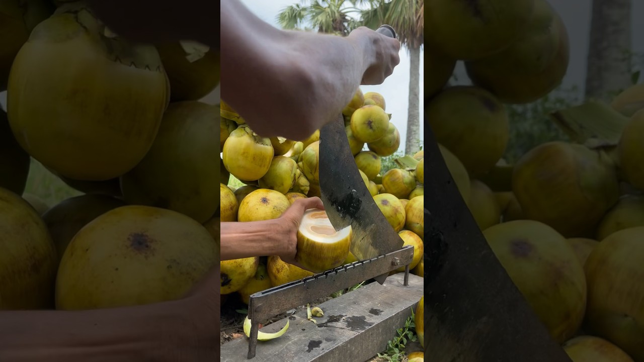 Amazing Palm Fruit Cutting Skills and Method In Village #palmcutting #amazingskill #shorts