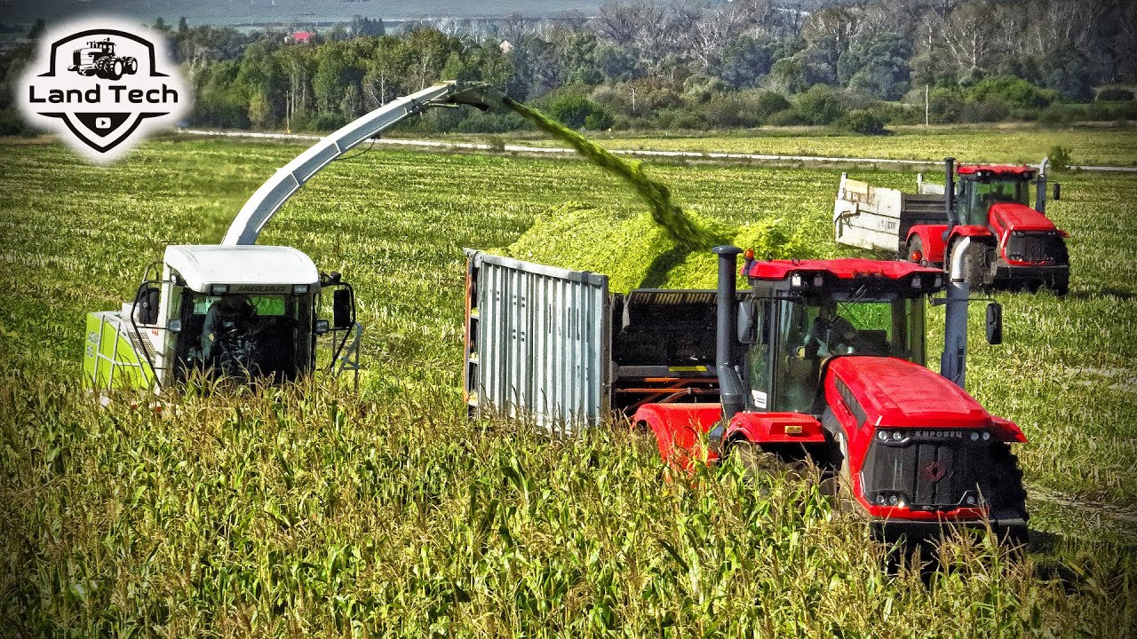 Старый CLAAS Jaguar 810 лучше, чем новый ДОН-680М? Заготовка кукурузы на силос 2025!