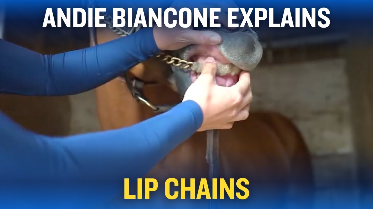 Andie Biancone Explains Lip Chains