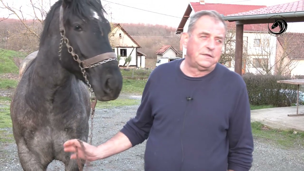 - NE MOGU SVOJ ŽIVOT ZAMISLITI DA MI U ŠTALI NE RŽE KONJ -