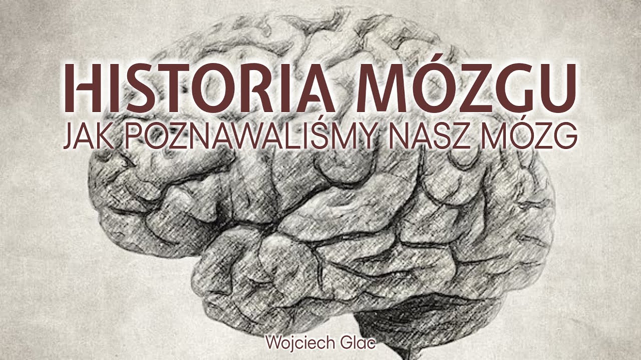 Historia mózgu, czyli jak poznawaliśmy nasz mózg