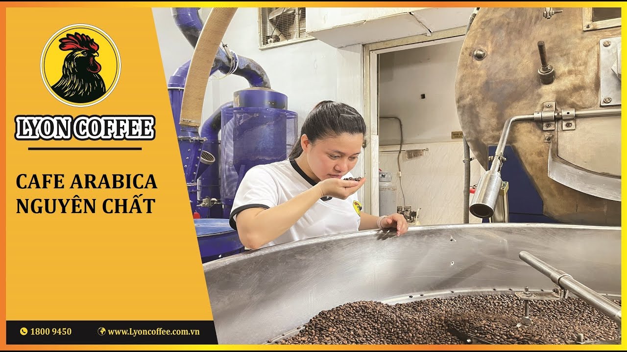 Cafe Arabica hạt nguyên chất | Cà phê Lyon Coffee 18009450