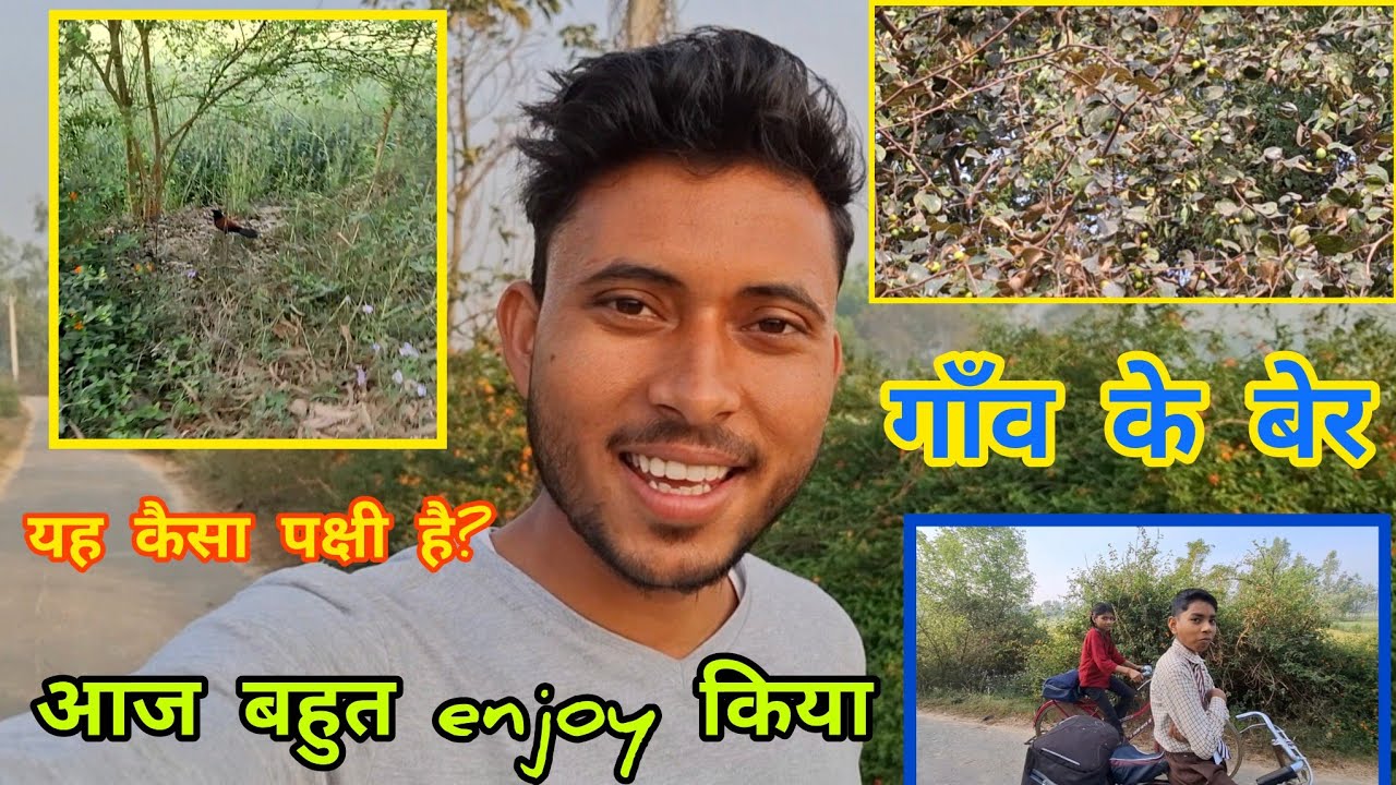 गाँव में बेर झाड़ने का मज़ेदार दिन 😍🍑 | Real Village Life Vlog #vlog #vishalbhagatpur 
