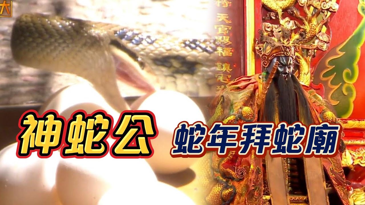 蛇年拜蛇廟！半年內開出五次『億元頭獎』!？｜寶島神很大online