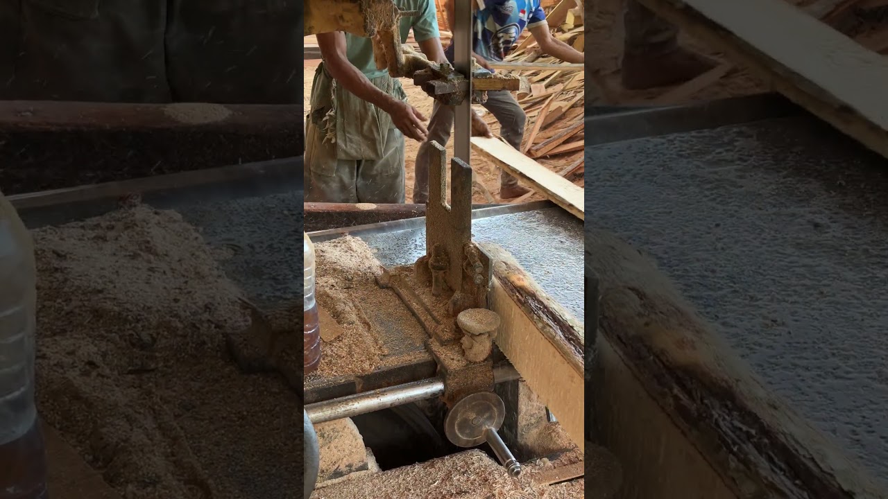 Behind the Scenes with Expert Sawmill Operators' Precision Techniques