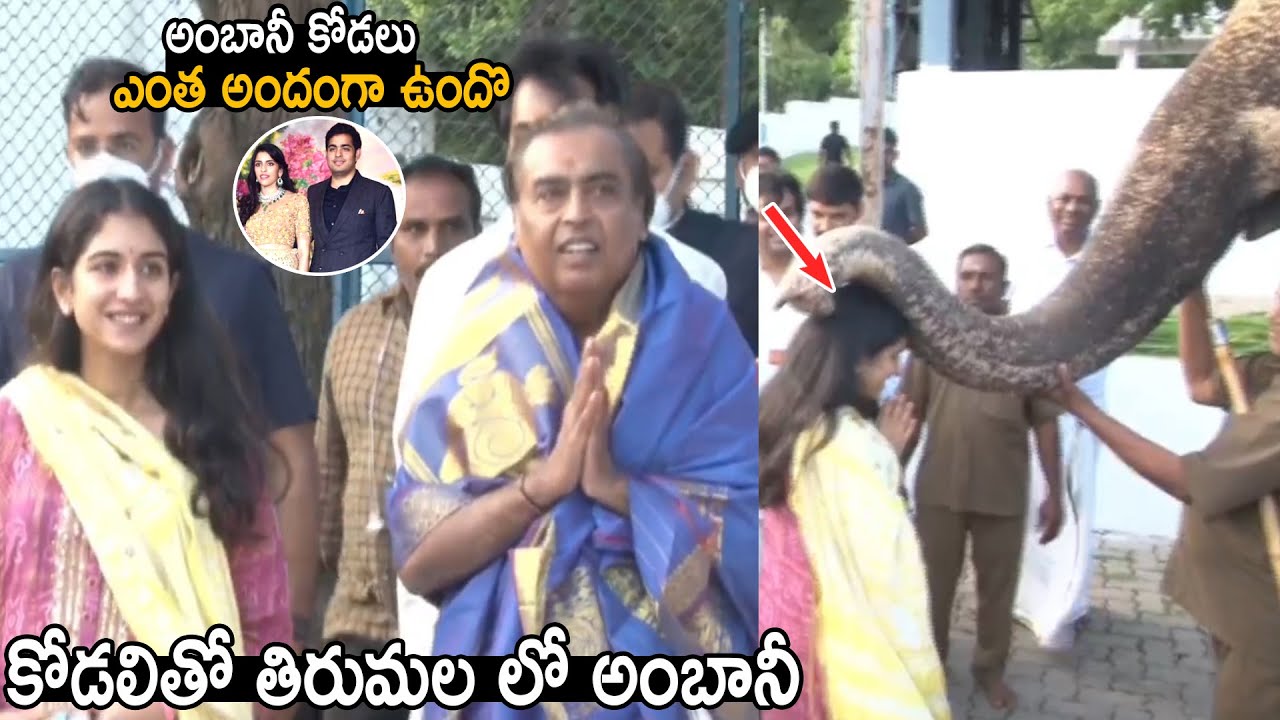 Mukesh Ambani Visit Tirumala Temple Along With His Son Wife Radhika Merchant | Telugu Cinema Brother