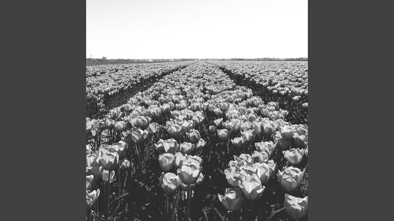 The Garden (Radio Edit)