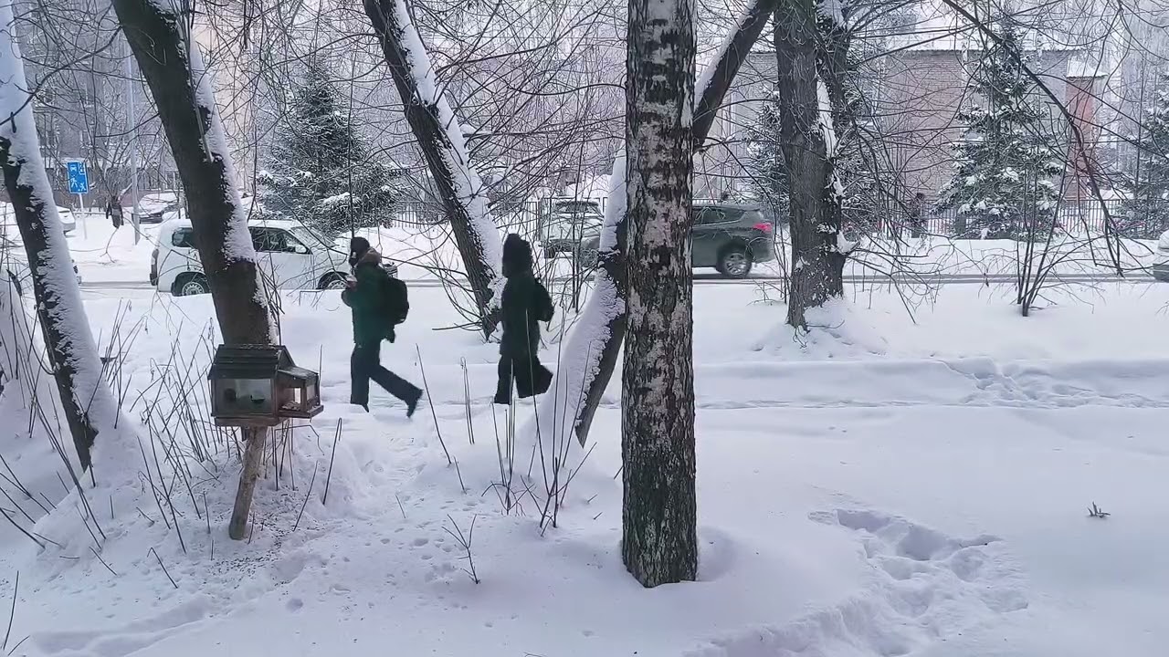 #среда 