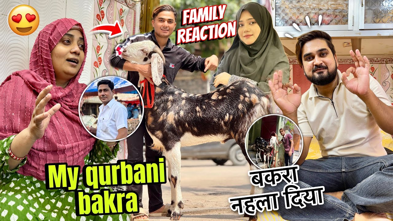 Insane family reaction on my bakra😍sister देखते ही डर गई 😱 Jiju -sis friends reaction vlog❤️