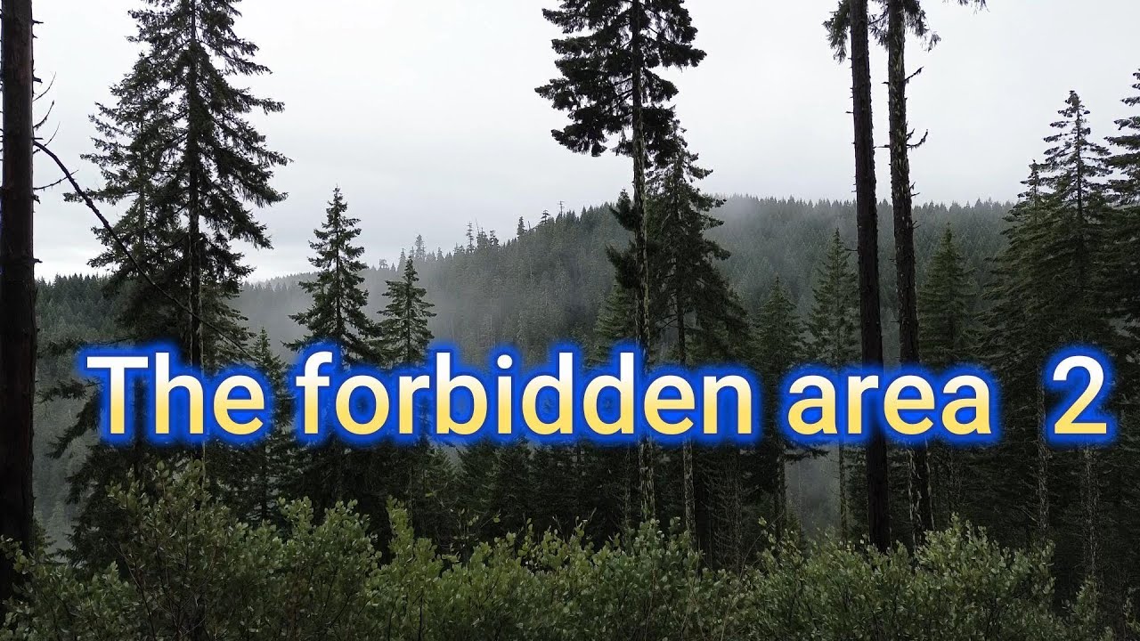 Searching  Southern Oregon Coastal Range for Bigfoot/ Sasquatch hot spots Part 2