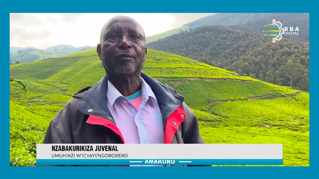 Ngororero: Guhinga icyayi bimwinjiriza miliyoni 5 ku kwezi | Ubuhamya bwa Nzabakurikiza Juvenal