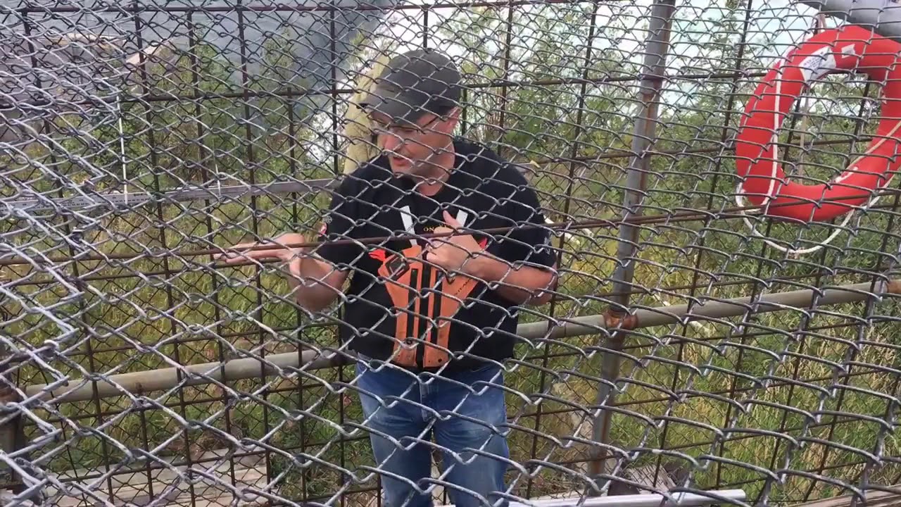 Life Cycle of the Yukon River Chinook Salmon - Whitehorse Rapids Fish Ladder
