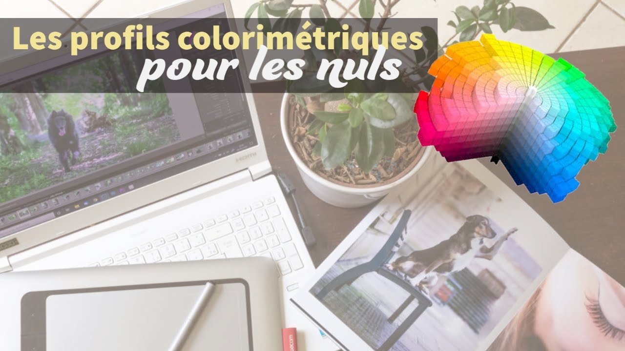 Les profils colorimétriques pour les nuls !