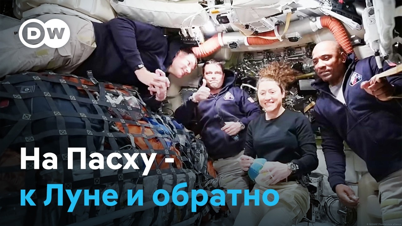 Креветки, сломанный туалет и Земля в иллюминаторе.