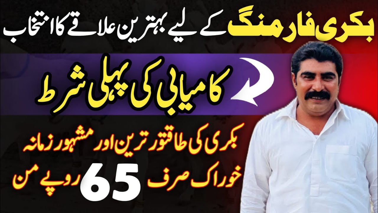 The best food and area of the goats