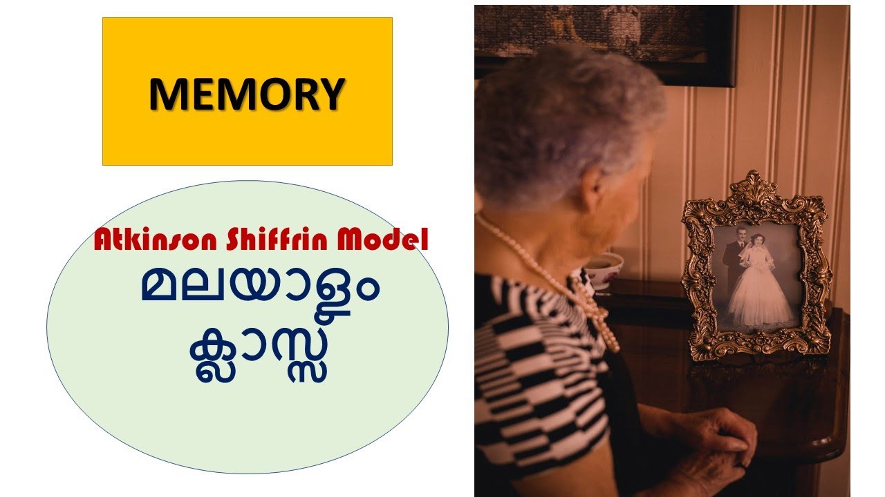 Memory: Atkinson Shiffrin Model