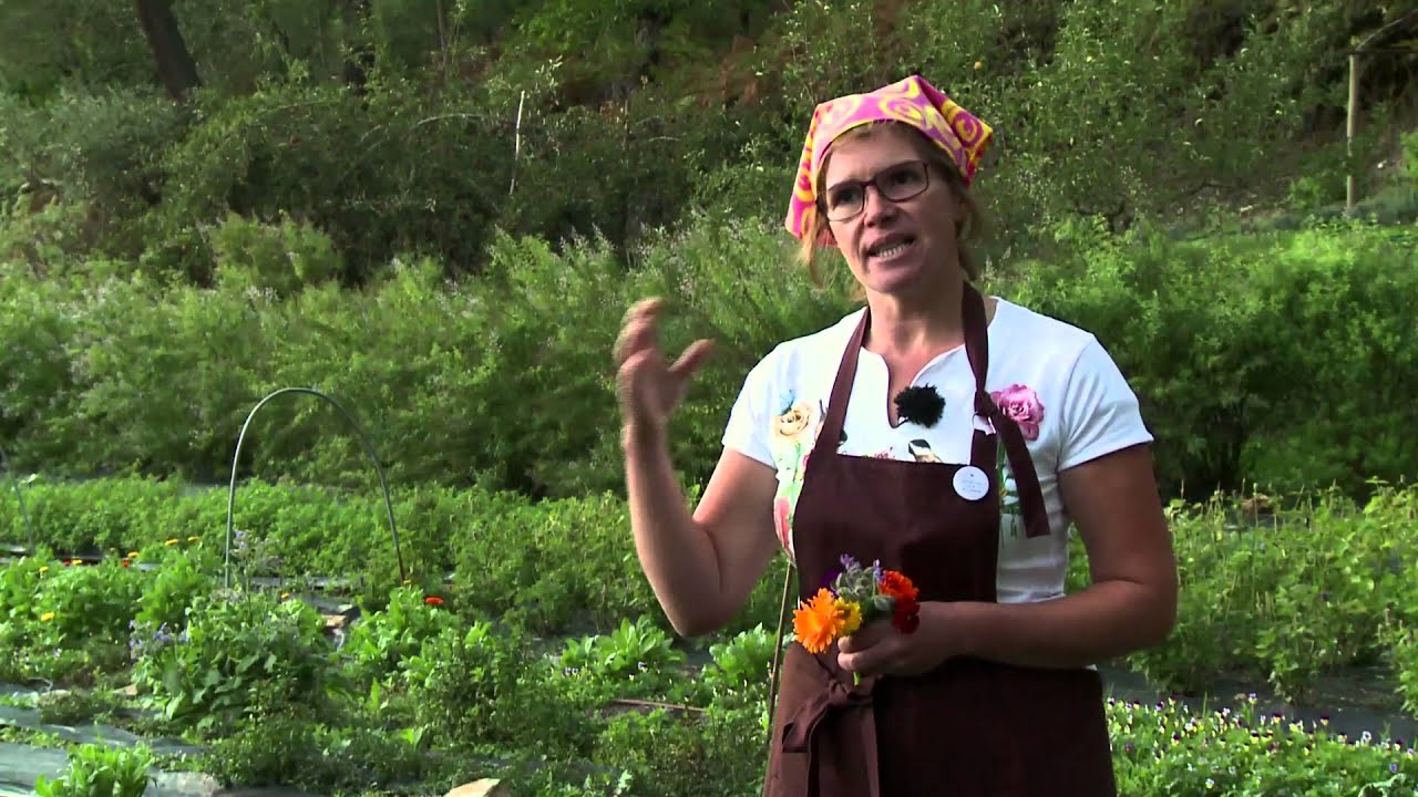 Ervas finas: Jardim comestível | Parte 1