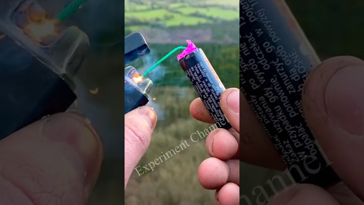 Firecracker in the forest #shorts #cracker #tricks #fireworks #firecracker #forest