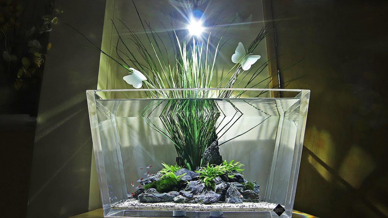 Aquascape Therapy - Unique Aquariums in the Care Community