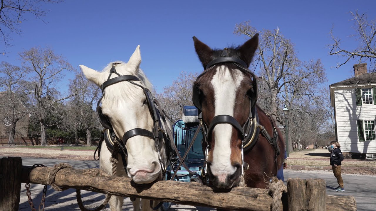 4K Walking Tour - Colonial Williamsburg - Winter Edition