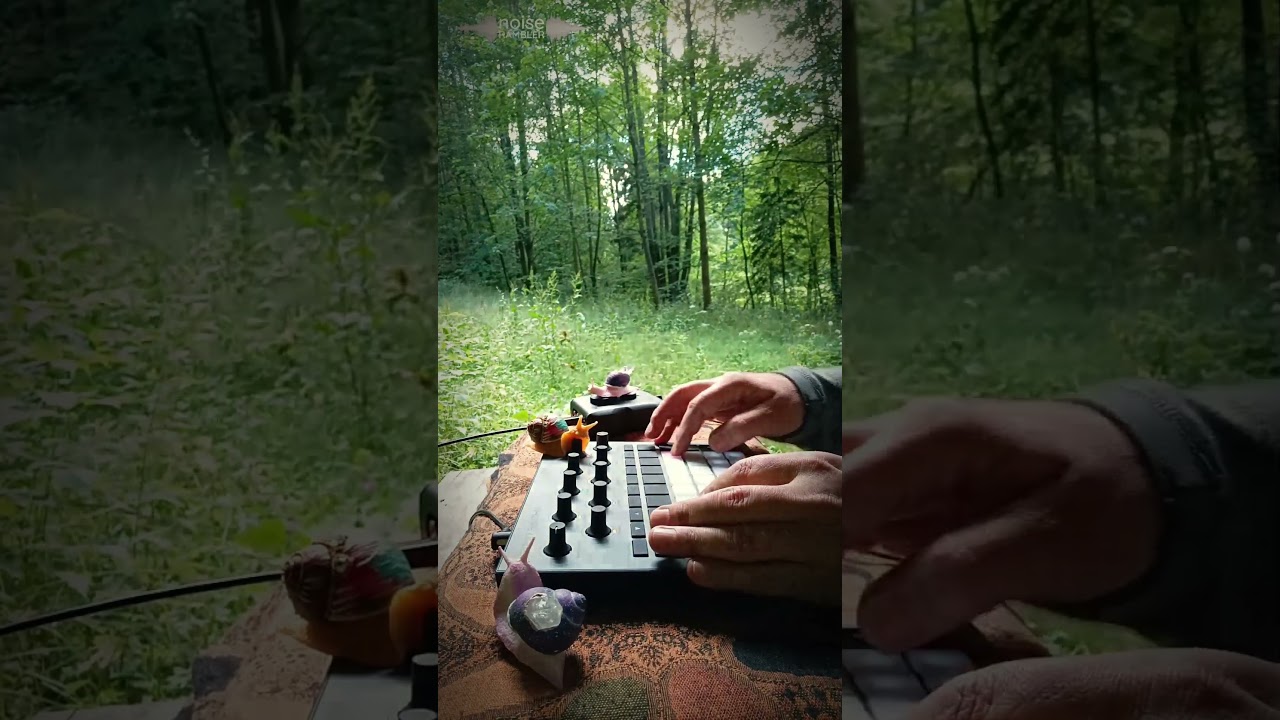 #circuitrhythm #synth #sampler #outdoormusic
