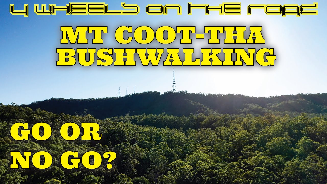 Mt Cootha I Bushwalking I Go Or No Go? I Best Trails In Brisbane!