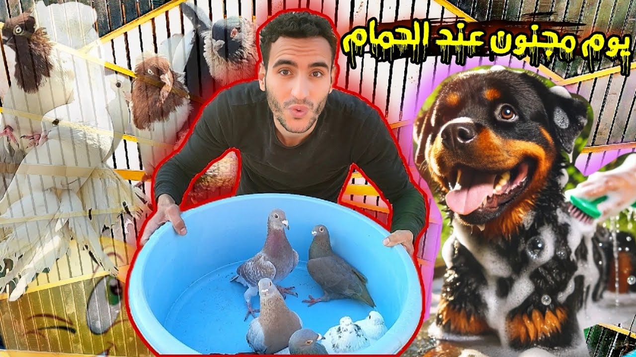 يوم غريب عند الحمام 😯 جننوني هما و الكلبة (شوف حصل اي 😱 )
