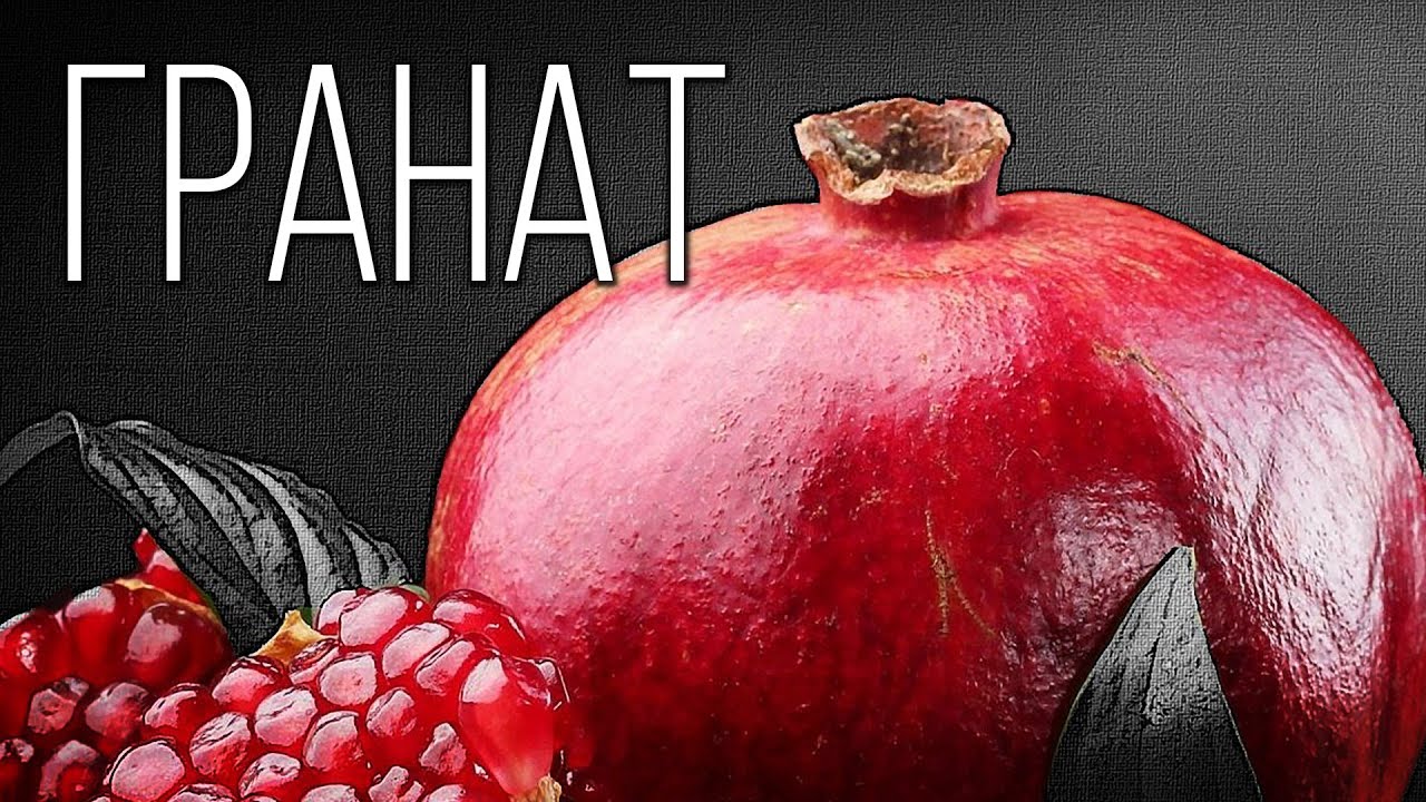 Гранат: Символ Жизни | Интересные факты про гранаты