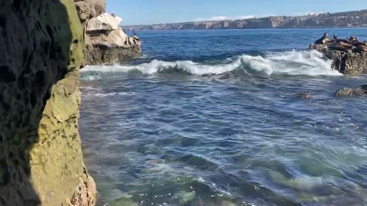 La Jolla ca. Is a great place to visit.