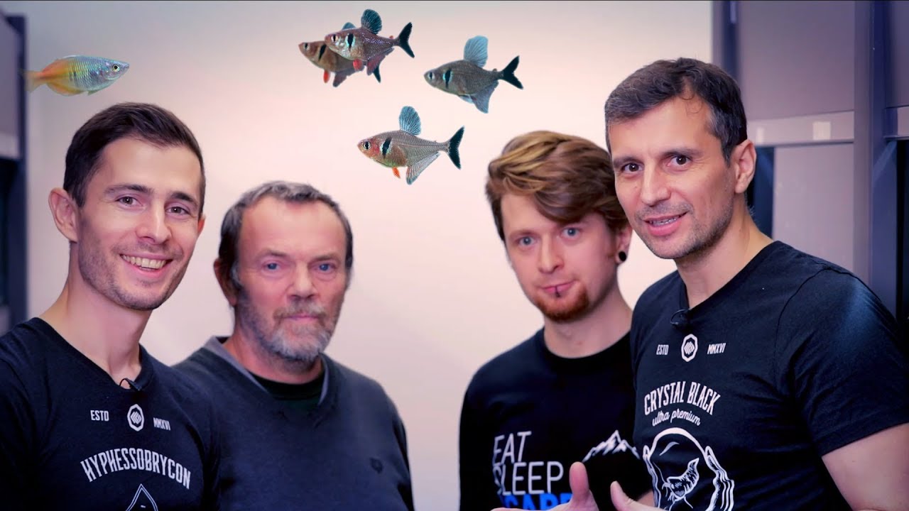 FISH ROOM TOUR AT GREEN AQUA - WITH JURIJS JUTJAJEVS