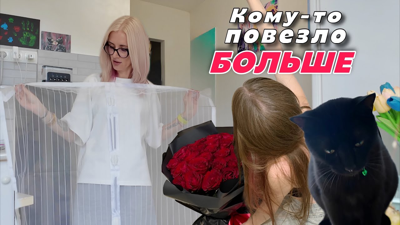 VLOG. Избавляюсь от животных. А Кире снова везёт.
