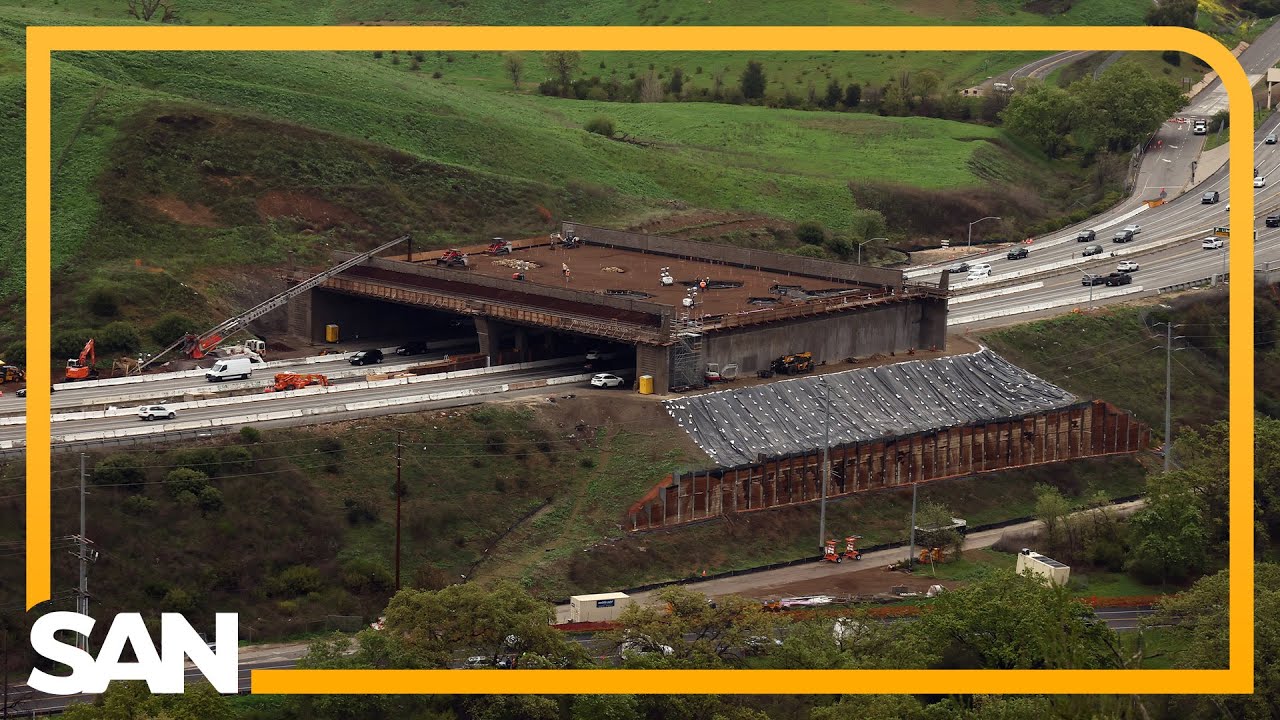 World’s largest wildlife crossing in CA hits milestone amid safety, cost concerns