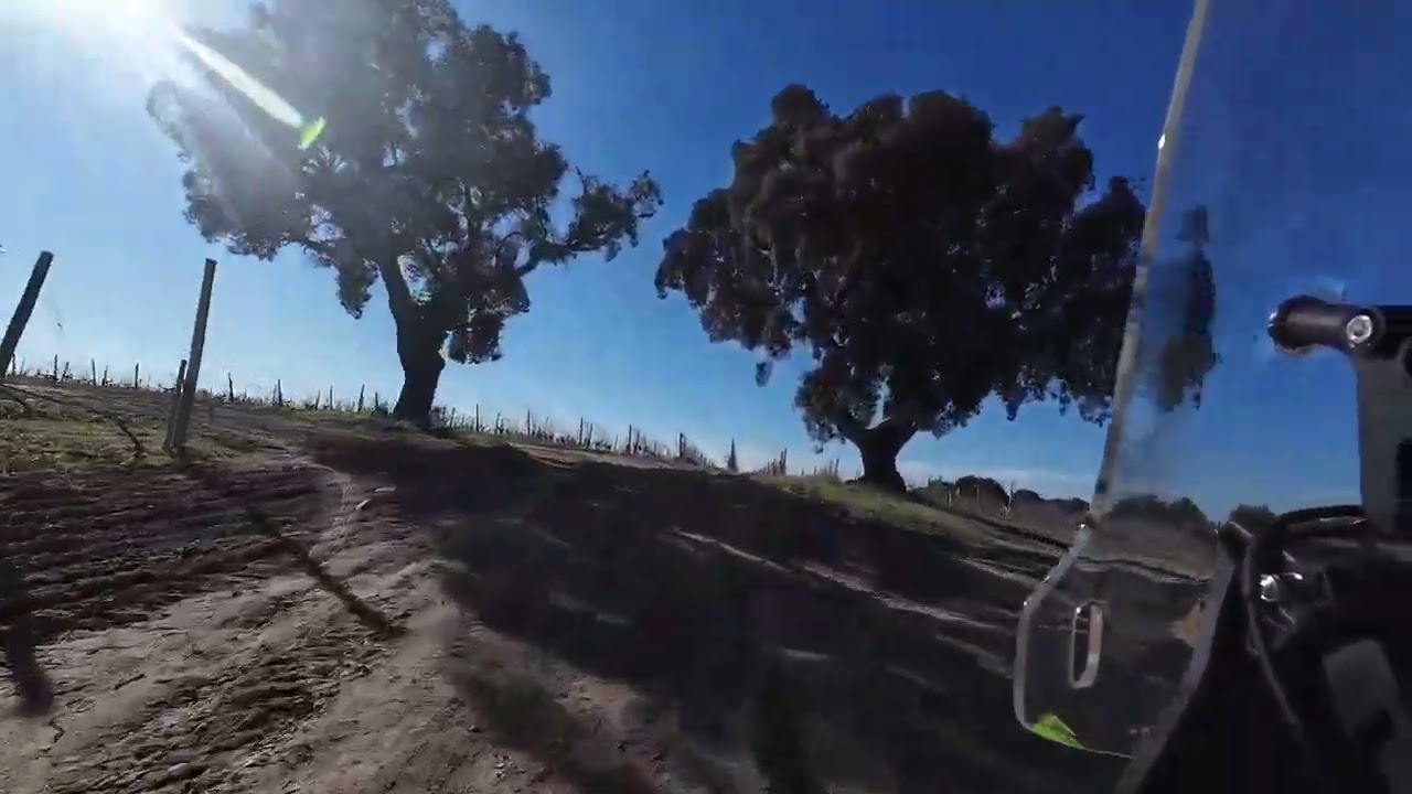 CF Moto 450MT - My Dakar  - Riding Ribatejo - Honda CRF 300L