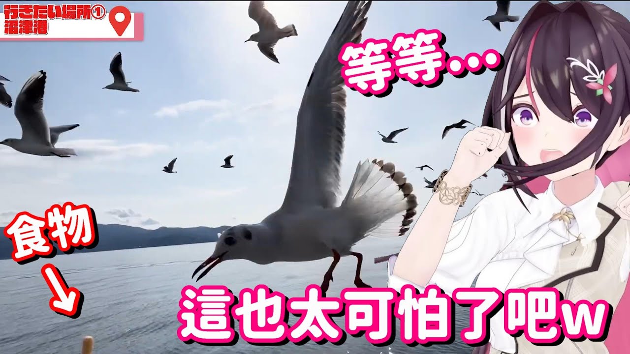 到外景嘗試餵海鷗的AZ親... 怎麼這好像比想像中 還要可怕呀w【Hololive中翻精華】【AZKi】