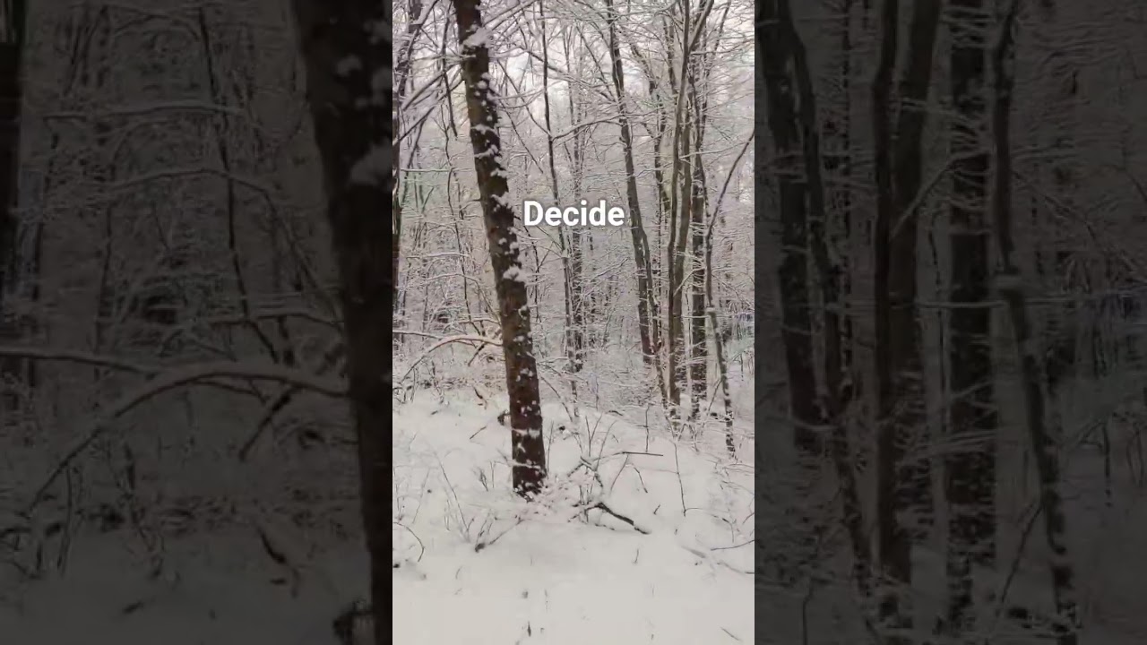 Decide 
