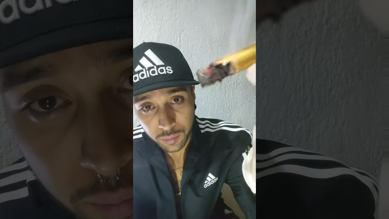 Fumando Blunt de Oro 14K Hydrophonic Weed Mimosa Strain