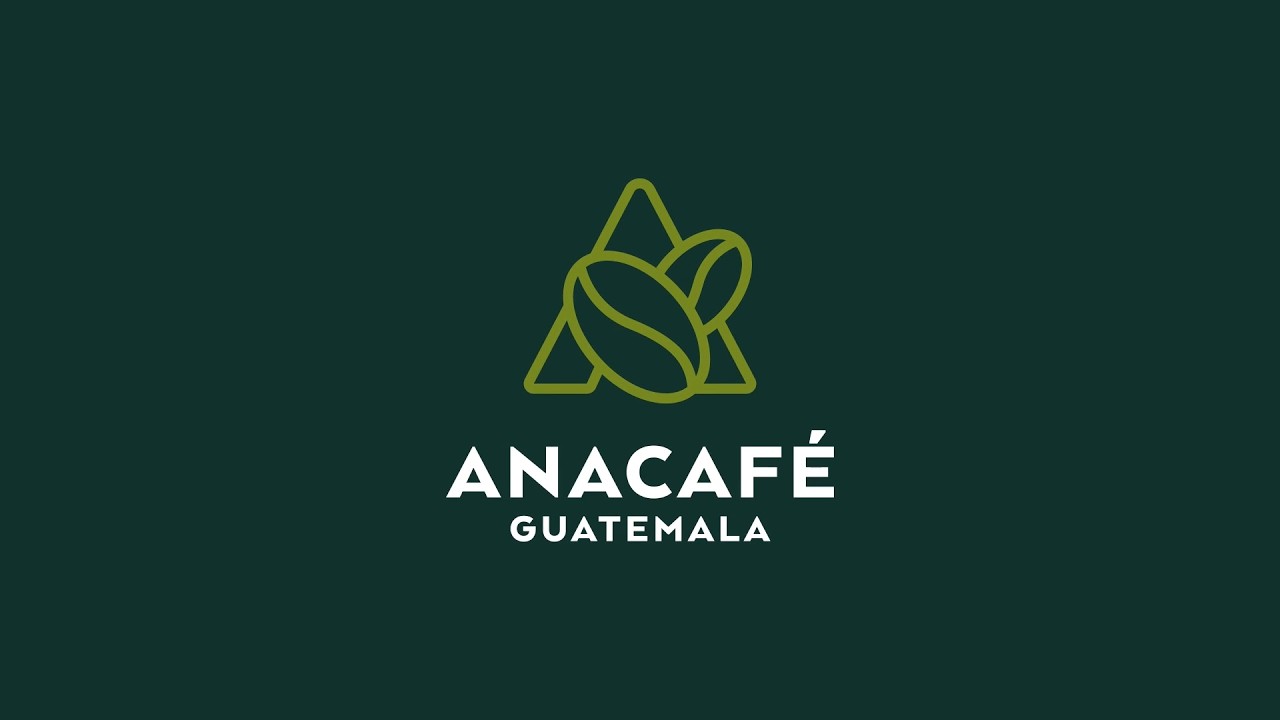 Café de Guatemala: Datos de impacto Cosecha 2024-2025