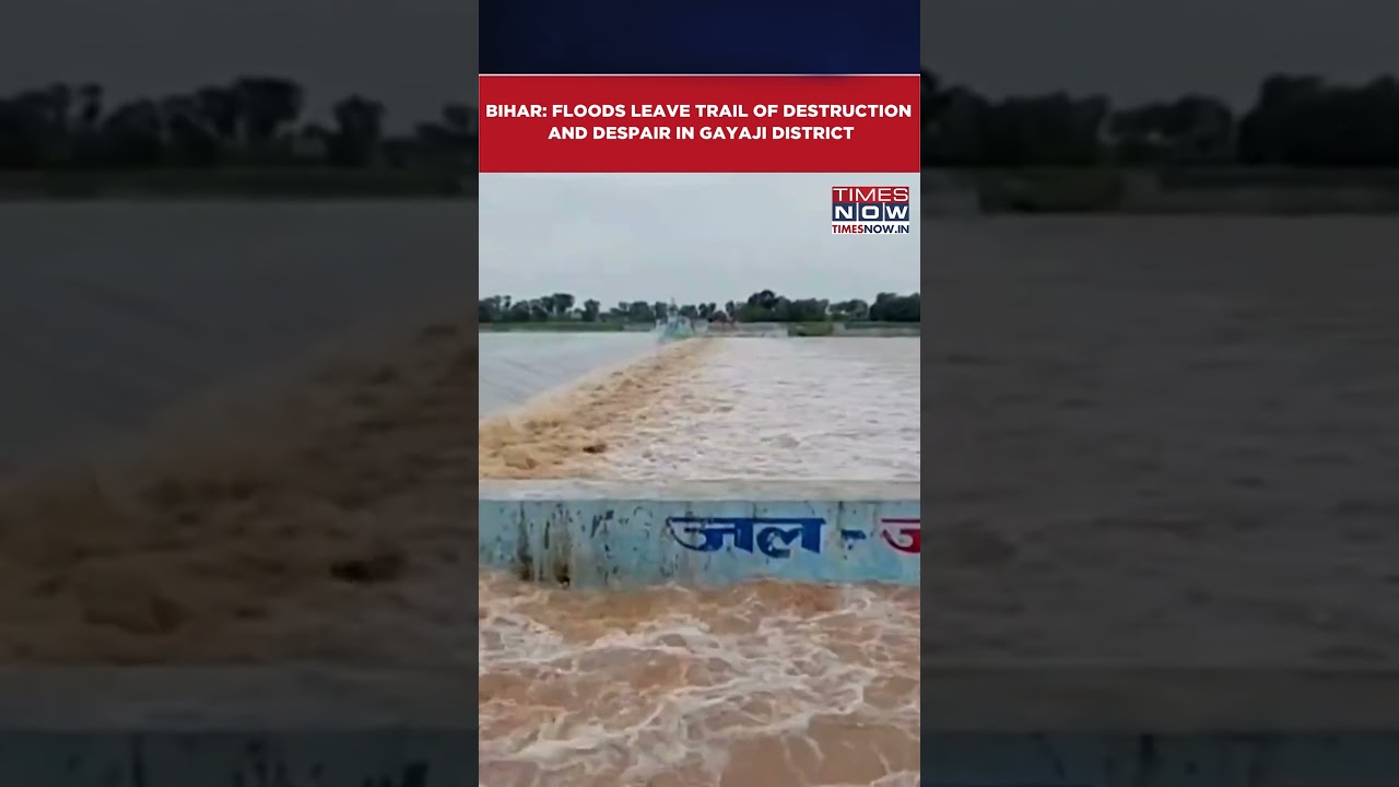Bihar: Floods Turn Deadly In Gayaji District, Leaves Behind Trail Of Destruction And Despair #shorts
