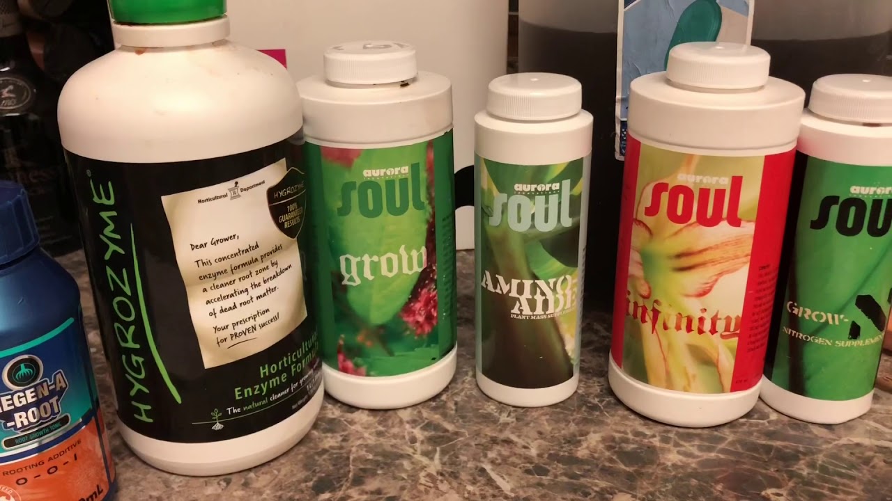 Week 1 Feeding Roots Organic Soul Line