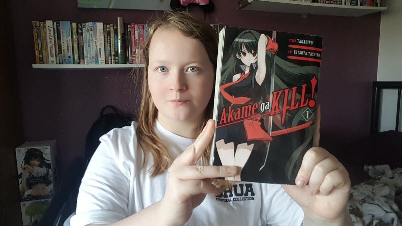 Akame ga kill vol 1 review