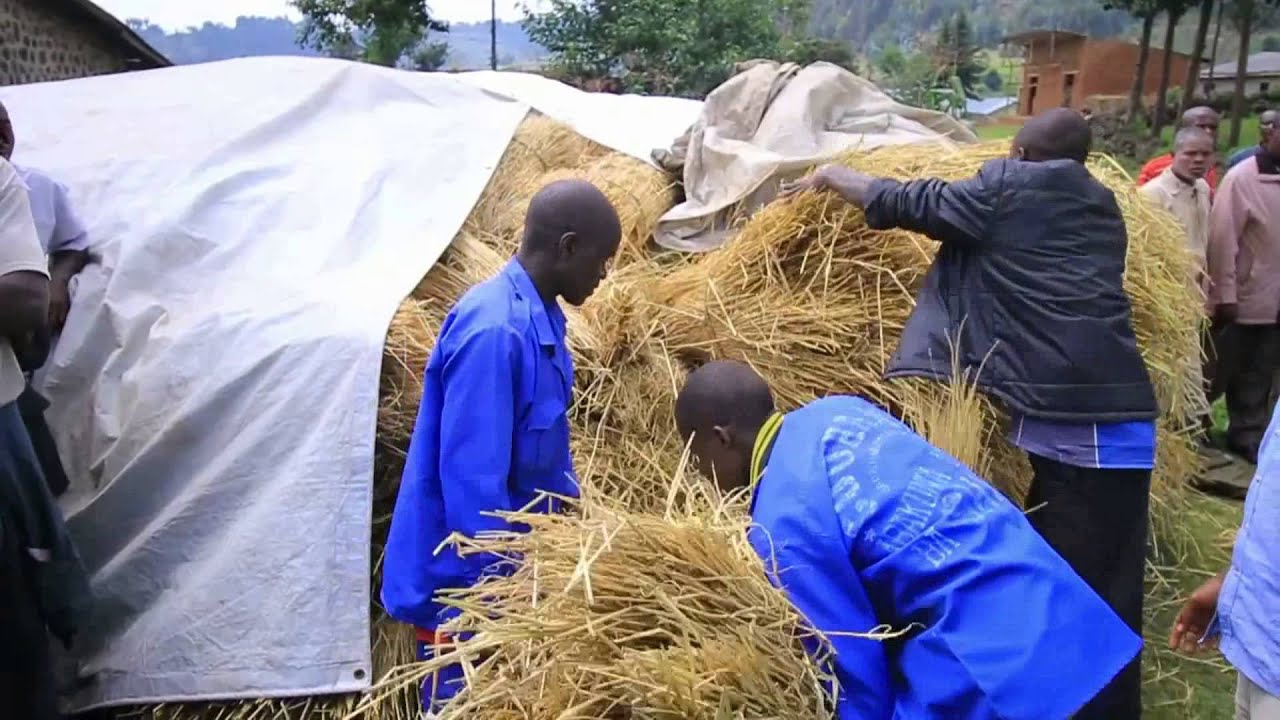 STRAWTEC - Farmer Training in Straw Handling, Baling and Storage at the Musanze Region of Rwanda