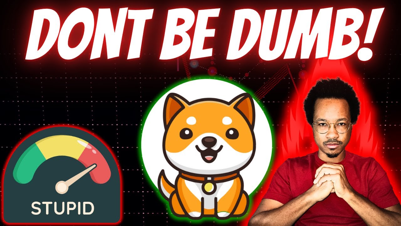 BABY DOGE HOLDERS MUST KNOW THIS!